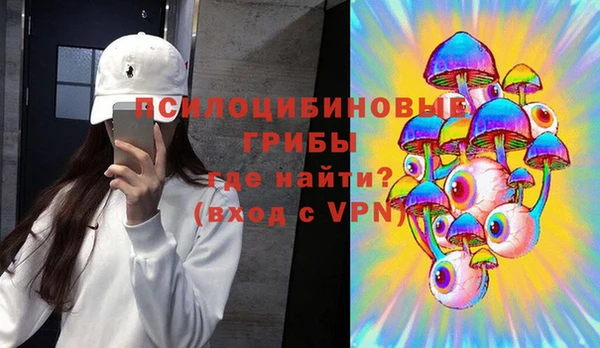 дмт Пролетарск