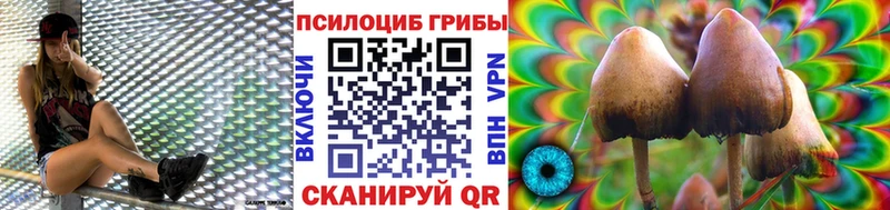 Галлюциногенные грибы мицелий  Братск 